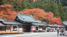 Vẻ đẹp kỳ bí tại ngôi chùa Nhật Bản hơn 600 tuổi trong tiết Thu