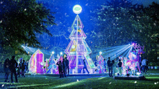 Cây thông khổng lồ trong khu rừng pha lê chiếu sáng cả một vùng đất.