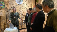 Khách du lịch yêu thích các trải nghiệm từ rừng