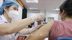 Phân bổ vaccine cho các địa phương ngay từ đầu năm 2024