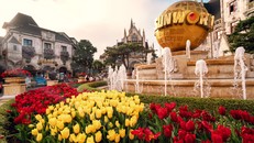 Dịp này du khách đến Bà Nà sẽ được chiêm ngưỡng hơn 100 ngàn bông hoa tulip rực rỡ.