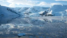 Các dòng hải lưu đẩy nhanh tốc độ thềm băng tan chảy 