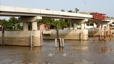 Ứng dụng hiệu quả chuyển đổi số trong dự báo và ứng phó hạn mặn