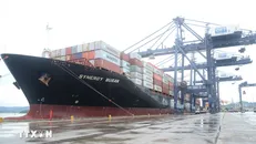 Hoạt động bốc xếp hàng hóa tại cảng Cái Lân. (Quảng Ninh). Ảnh: Thanh Vân/TTXVN.