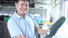 Anh Hoàng Văn Hưng, Giám đốc HTX Nông nghiệp hữu cơ Bái Thượng.