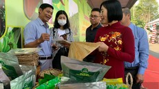 Ông Hùng giới thiệu về các sản phẩm giá trị gia tăng từ cây chuối cho khách hàng.