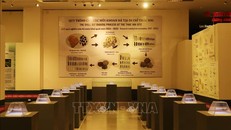 “Sưu tập mũi khoan đá Thác Hai” trở thành sưu tập hiện vật đầu tiên của tỉnh Đắk Lắk được công nhận là Bảo vật quốc gia theo Quyết định số 73/QĐ-TTg, ngày 18/1/2024 của Thủ tướng Chính phủ.