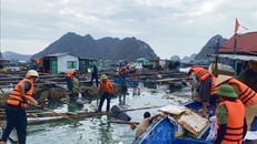 Các lực lượng của thành phố Cẩm Phả ra quân dọn dẹp rác trên vịnh Bái Tử Long sau bão số 3. Ảnh: TTXVN.