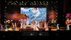 Toàn cảnh Lễ hội Áo dài Huế 2024. Ảnh: Mai Trang/TTXVN.