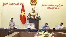 Thống nhất tích hợp và ban hành Nghị quyết chung về tiếp xúc cử tri