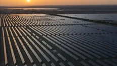 Mỹ áp đặt lệnh cấm lên các công ty thép và phụ gia thực phẩm của Trung Quốc