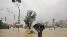 Đài Loan tập trung khắc phục thiệt hại sau bão Krathon