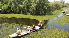 Du lịch sông nước là một sản phẩm đặc trưng được ưa chuộng tại Long An. Ảnh: Đức Hạnh/TTXVN.