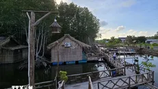 Cà Mau: Du lịch sinh thái thu hút nhiều du khách trải nghiệm