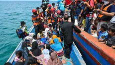 LHQ: Giải cứu hơn 150 người tị nạn ngoài biển Indonesia