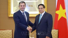 Thủ tướng Phạm Minh Chính tiếp đại diện một số tập đoàn hàng đầu của UAE. Ảnh: Dương Giang/TTXVN.