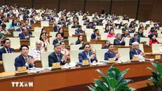 Tổng Bí thư Tô Lâm, Thủ tướng Phạm Minh Chính, Chủ tịch nước Lương Cường và các đại biểu Quốc hội tại phiên họp. Ảnh: Văn Điệp/TTXVN.