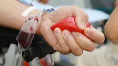 Cần 80.000 đơn vị máu dự trữ cho cuối năm và Tết Nguyên đán 2025