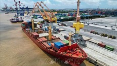 Đổi mới sáng tạo và xuất khẩu bền vững góp phần tăng trưởng kinh tế