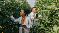 Việc làm xanh – xu hướng trong nền kinh tế bền vững