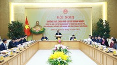 Hội nghị Thường trực Chính phủ gặp gỡ doanh nghiệp. Ảnh: Dương Giang/TTXVN.