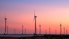 Cần chiến lược tổng thể cho phát triển năng lượng xanh tại Việt Nam