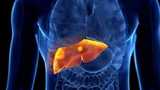 Công cụ AI có thể dự đoán nguy cơ tái phát ung thư gan chính xác tới hơn 82%