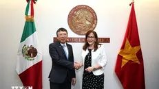 Đại sứ Việt Nam được bổ nhiệm tại Mexico Nguyễn Văn Hải (trái) và Chủ tịch Ủy ban Đối ngoại Thượng viện Mexico Yeidckol Polevnsky Gurwitz. Ảnh: Phi Hùng/TTXVN