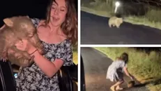 Influencer Mỹ bắt gấu túi mũi trần gây làn sóng chỉ trích