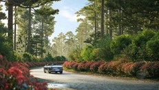 Thanh Xuan Valley là miền an trú giữa thiên nhiên nguyên bản với địa hình, cảnh quan và bầu không khí trong lành hiếm có tại cửa ngõ phía Bắc Hà Nội.