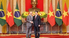 Chủ tịch nước Lương Cường với Tổng thống Cộng hòa Liên bang Brazil Luiz Inácio Lula da Silva. Ảnh: Lâm Khánh/TTXVN.