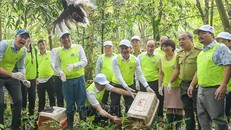 Tái thả động vật hoang dã sau cứu hộ về tự nhiên tại Vườn quốc gia Cúc Phương, một hoạt động quan trọng tại lễ kỷ niệm. Ảnh: TTXVN.