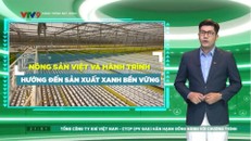 Nông sản Việt và hành trình hướng đến sản xuất xanh bền vững