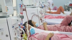 Hiện có từ 400 đến 500 bệnh nhân đang chạy thận định kỳ tại Khoa Thận nhân tạo, Bệnh viện Chợ Rẫy.