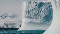 Băng Nam Cực tan nhanh kỷ lục do nước biển mặn bất thường
