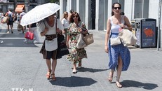 Ước tính 16.500 ca tử vong do nắng nóng mùa Hè ở châu Âu