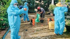 Phun thuốc diệt muỗi tại khu vực phát hiện ổ dịch sốt xuất huyết tại Quảng Ngãi Ảnh: Đinh Hương/TTXVN.