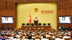 Các đại biểu làm việc tại nghị trường. Ảnh: Doãn Tấn/TTXVN.