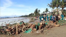 Lực lượng bộ đội, dân quân giúp dân xã Tịnh Khê (tỉnh Quảng Ngãi) khắc phục hậu quả bão số 13. Ảnh: Cao Nguyên/TTXVN.