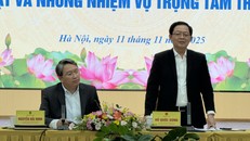 Phó Thủ tướng Chính phủ Hồ Quốc Dũng phát biểu tại buổi làm việc.