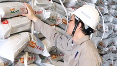 PVFCCo – Phú Mỹ chính thức ra mắt DAP Phú Mỹ, mở rộng danh mục sản phẩm và cung ứng nguồn phân bón chất lượng cao cho thị trường