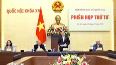 Chủ tịch Quốc hội Trần Thanh Mẫn, Chủ tịch Hội đồng Bầu cử Quốc gia phát biểu. Ảnh: Doãn Tấn/TTXVN.