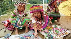 Lao động trẻ em: Những con số đáng báo động và hệ lụy lâu dài