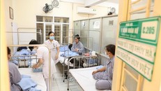 Bệnh nhân điều trị sốt xuất huyết tại Bệnh viện Hữu nghị Việt Nam - Cuba. Ảnh tư liệu: Minh Quyết/TTXVN.