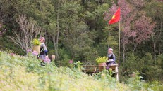 Festival Khèn Mông - Lễ hội Hoa Tớ Dày: Đưa Mù Cang Chải trở thành điểm đến du lịch tiêu biểu Tây Bắc.