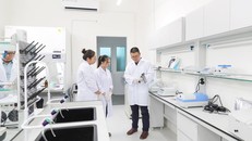 Vai trò của giáo dục đại học là tự do học thuật và đổi mới sáng tạo.