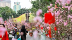 Sắc Xuân rực rỡ tại không gian hoa xuân tại Vườn hoa Lý Thái Tổ. Ảnh: Khánh Hoà/TTXVN.