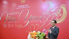 Ủy viên Bộ Chính trị, Bộ trưởng Bộ Ngoại giao Lê Hoài Trung.