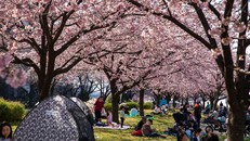 Dự báo 5 xu hướng định hình ngành du lịch toàn cầu năm 2026