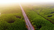 VnExpress Marathon lần đầu tổ chức tại Cần Giờ 